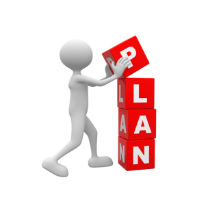 Plan de développement des compétences :